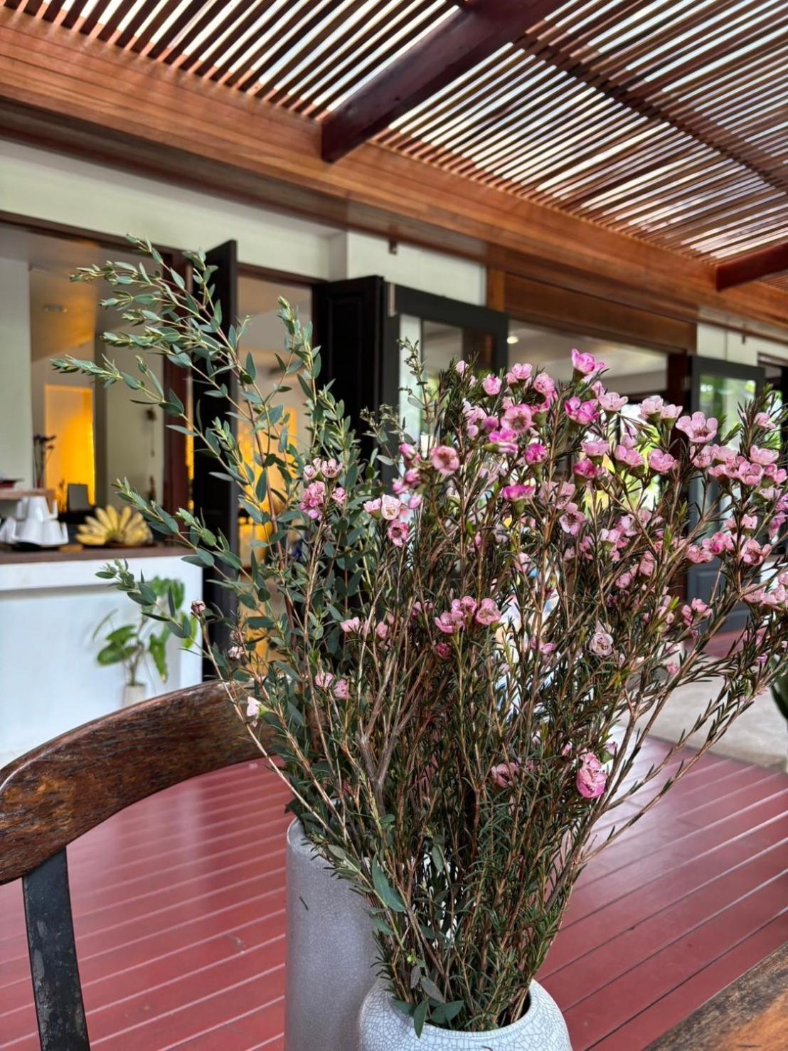Yindee Stylish Guesthouse Τσιάνγκ Μάι Εξωτερικό φωτογραφία